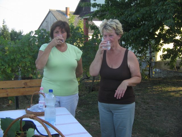 finnek 2011 021